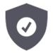 Protection Icon